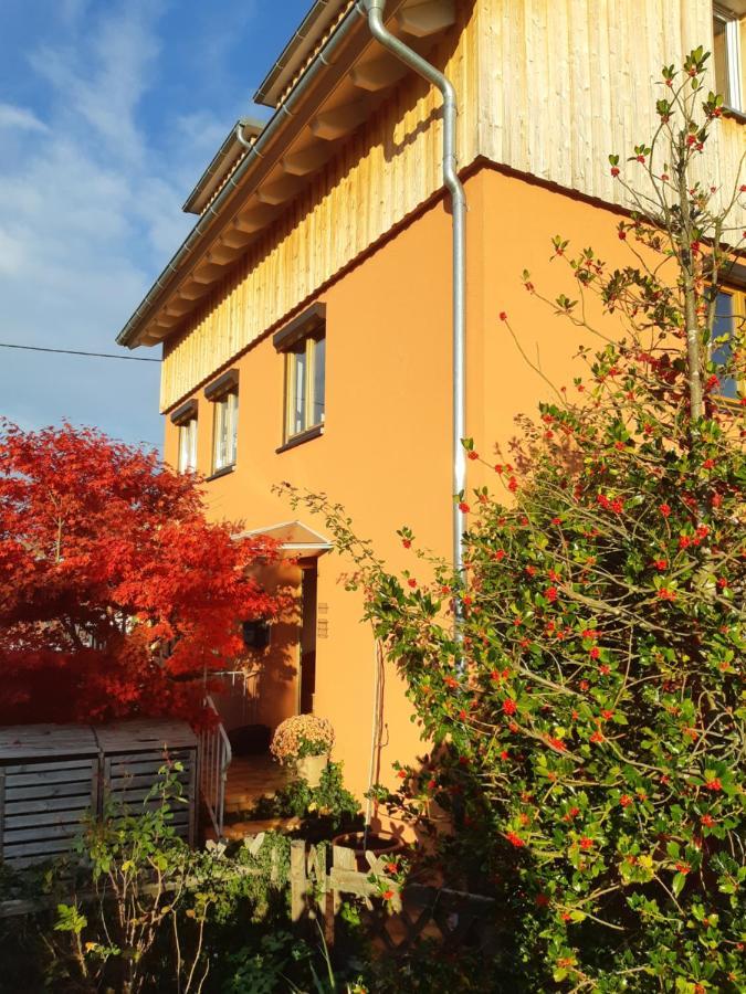 Haus Meersburg Rebe Екстериор снимка