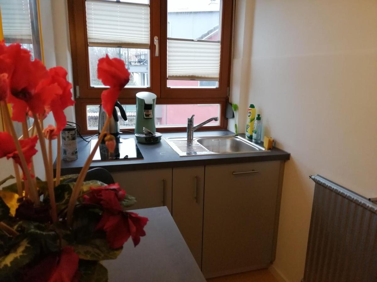 Haus Meersburg Rebe Екстериор снимка